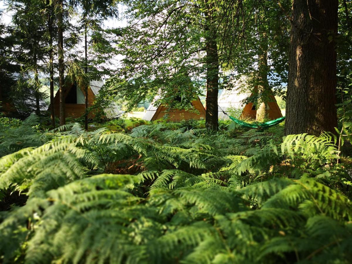 Glamping Forest Edge Kamnik Exteriér fotografie
