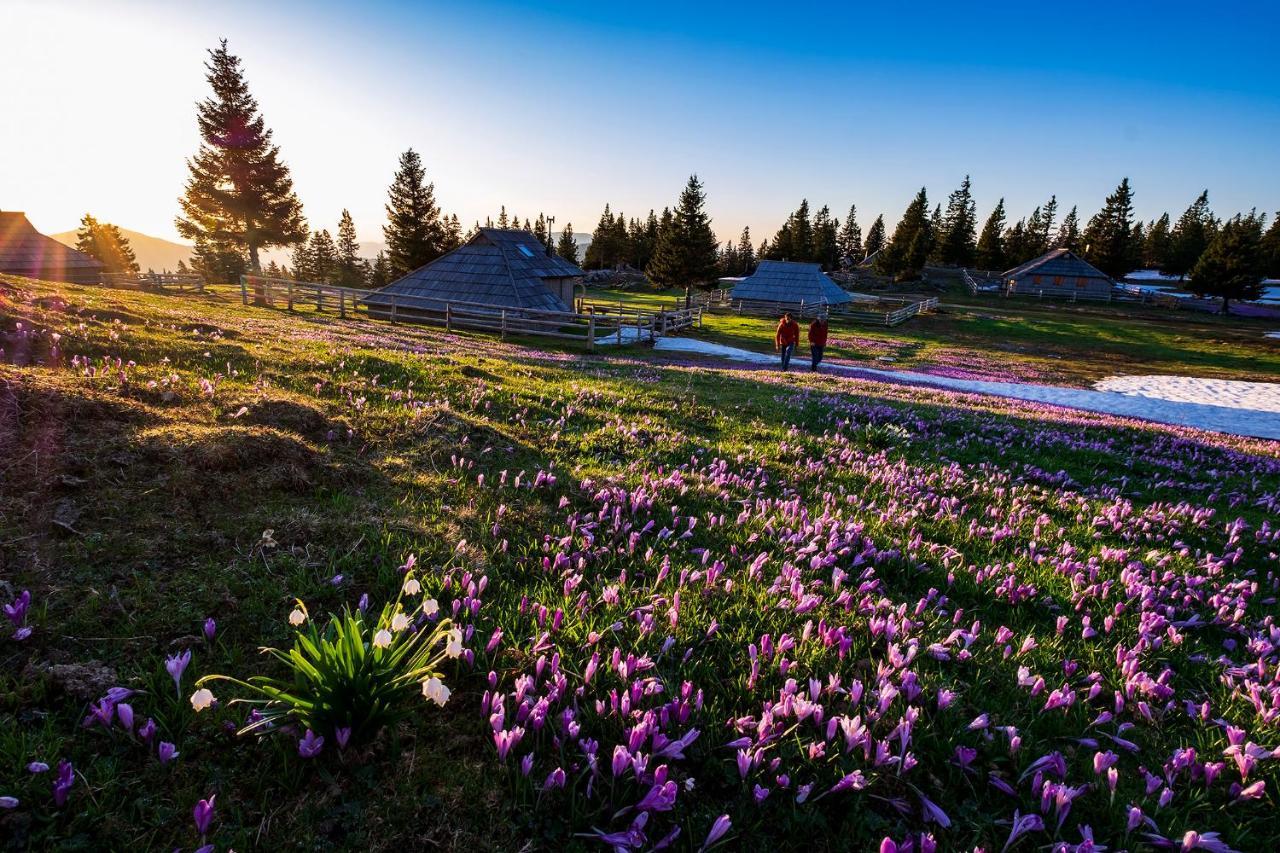 Glamping Forest Edge Kamnik Exteriér fotografie